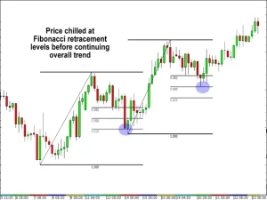 شناسایی اصلاحات